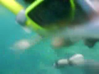 CoronTrip-Day3-CYCCoral 10