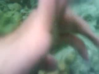 CoronTrip-Day3-CYCCoral 12