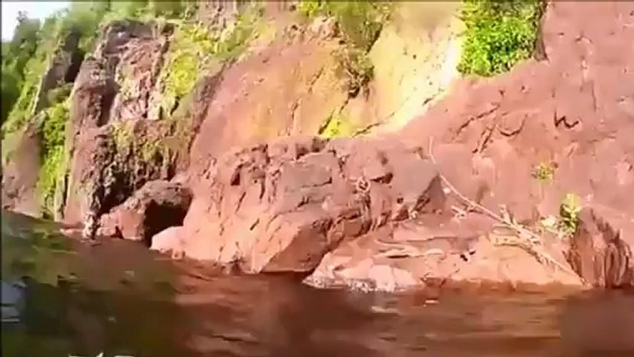A Flying Crocodile Attack
