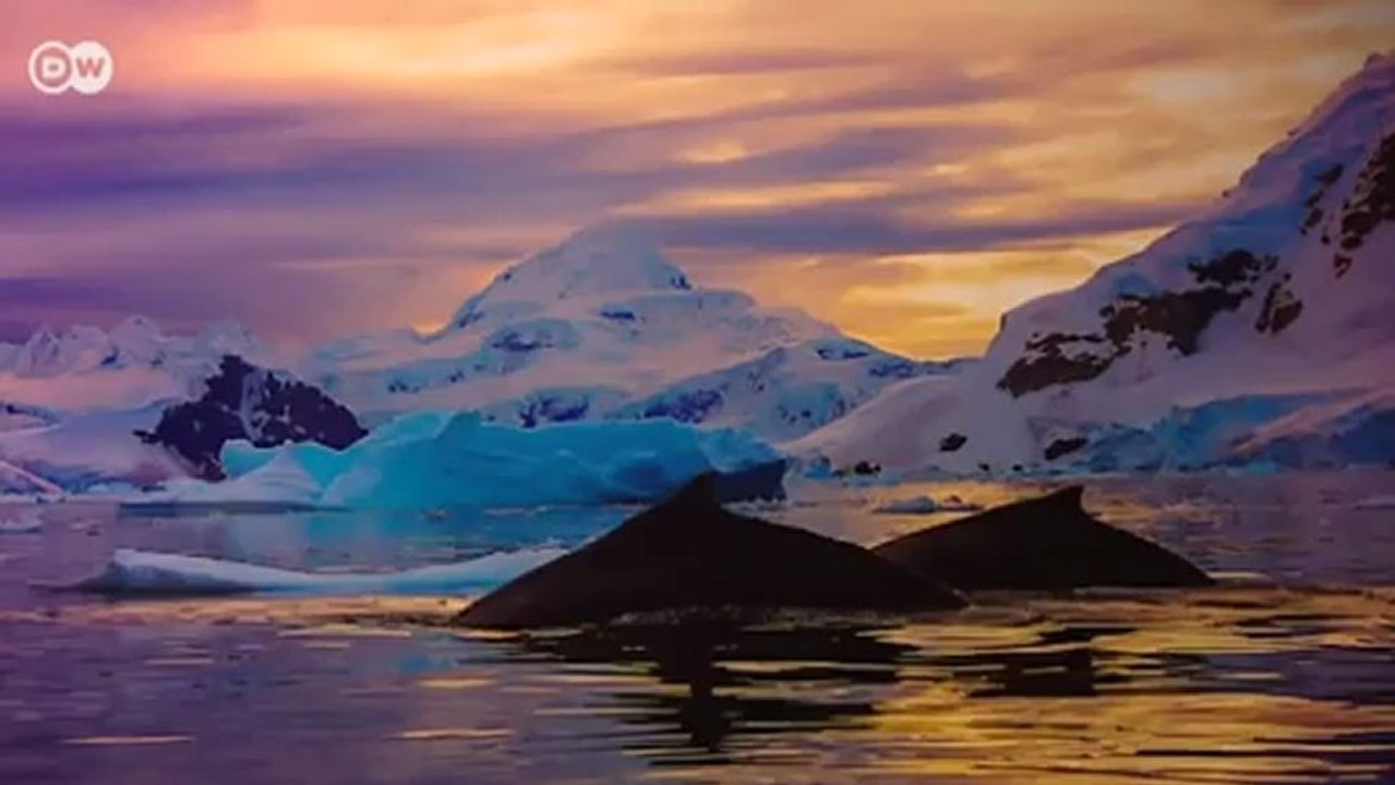 Leica -  ein Mythos lebt wieder auf | Made in Germany