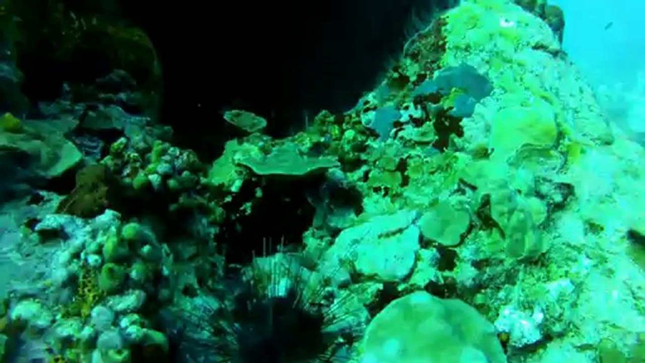 Plongée Diamant Dailymotion HD