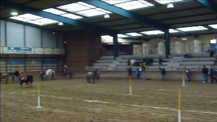 team masty dec 2012