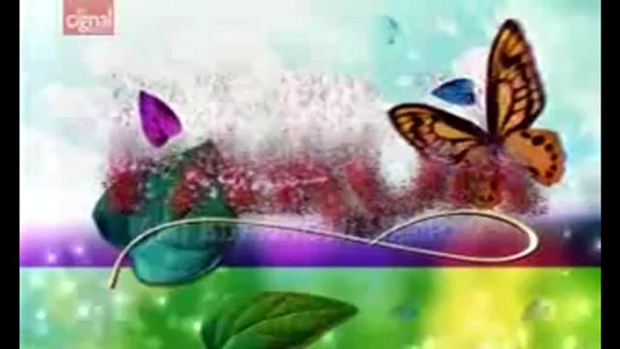 paroa