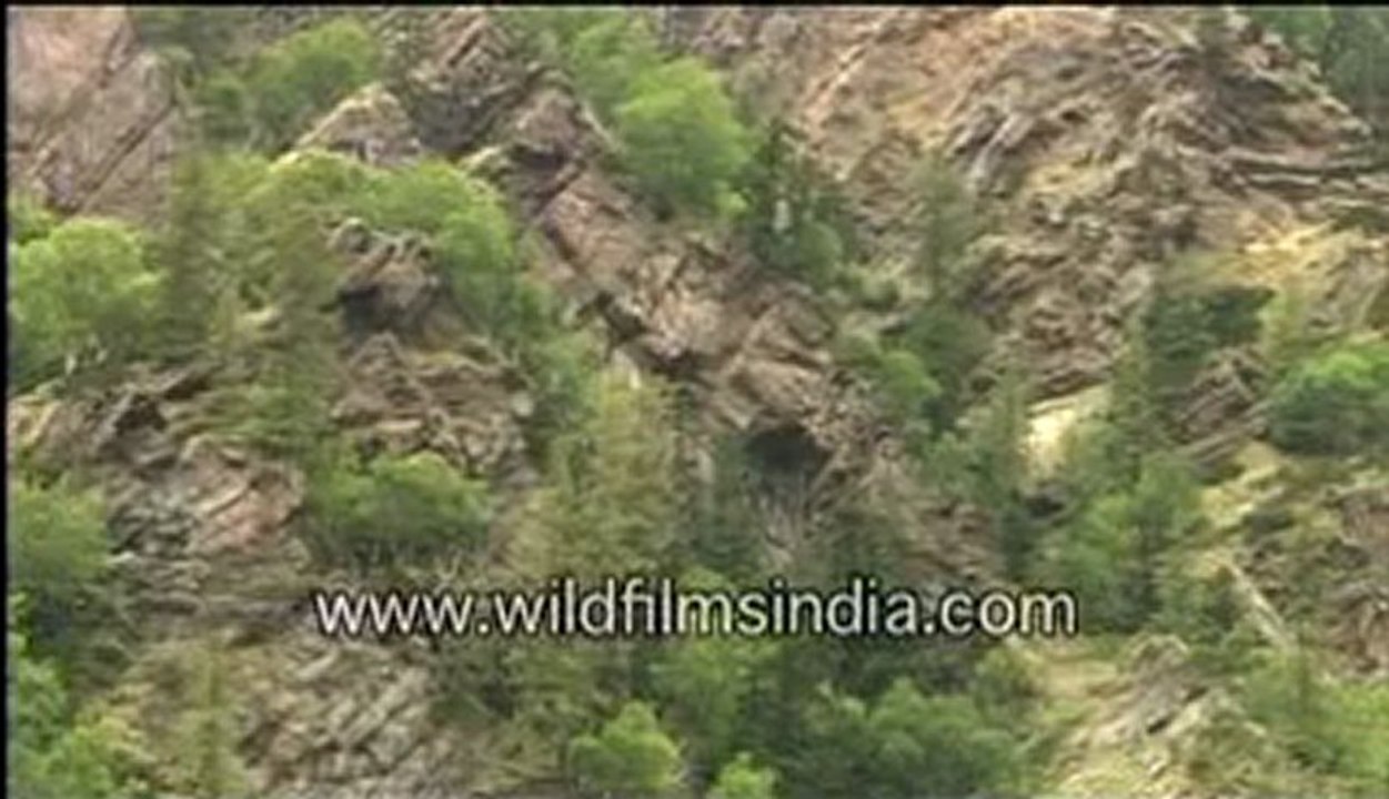 Beautiful hills-MPEG-4 800Kbps.mp4