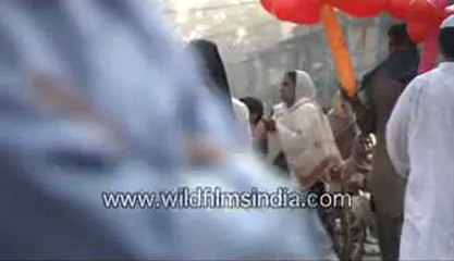 Beggars on the streets-MPEG-4 800Kbps.mp4