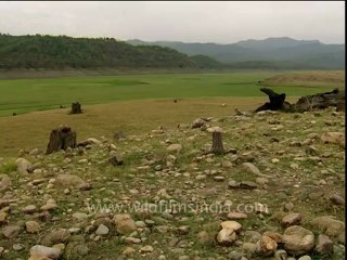 Corbett-DB-150-video-4.mov