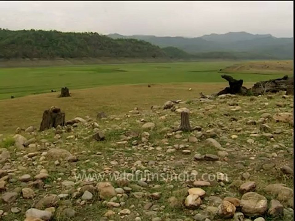 Corbett-DB-150-video-4.mov