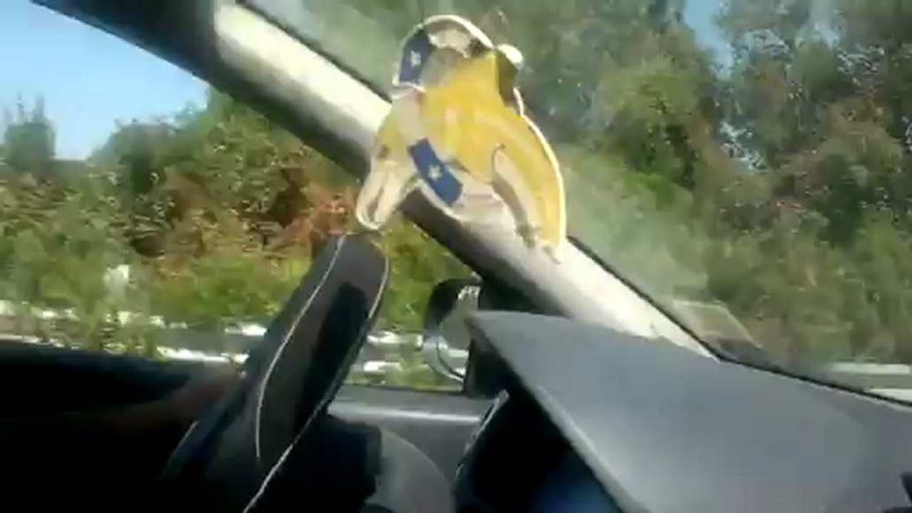 22082012074