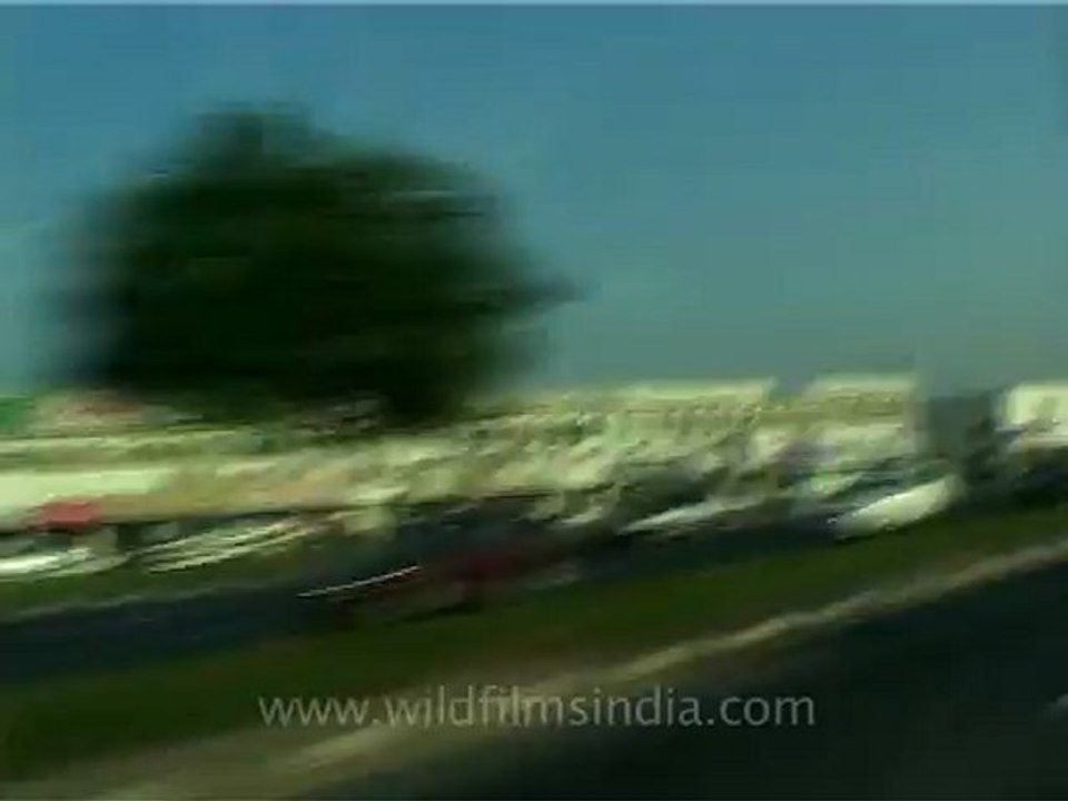 Dubai-7.mov