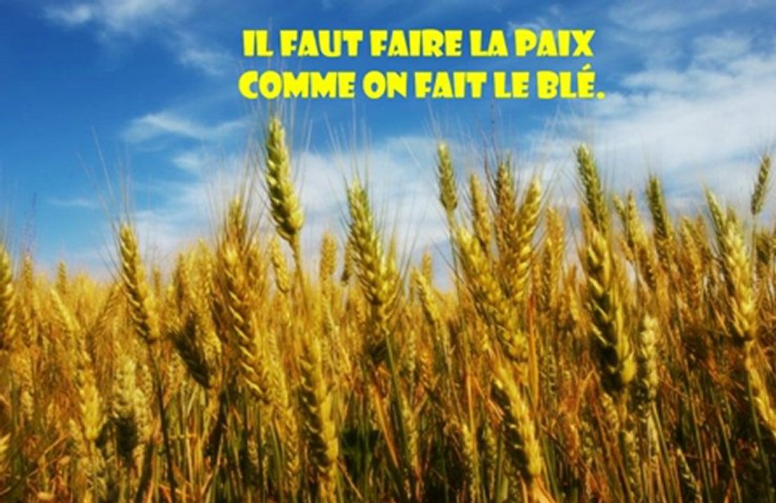 VOEUX 2013