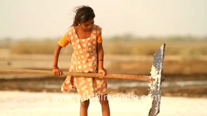 Gujarat-Salt making-1.mov