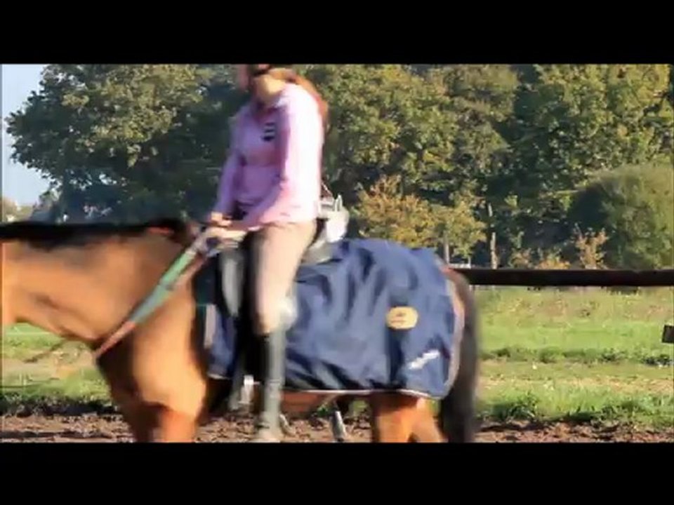 L'équitation plus qu'un sport
