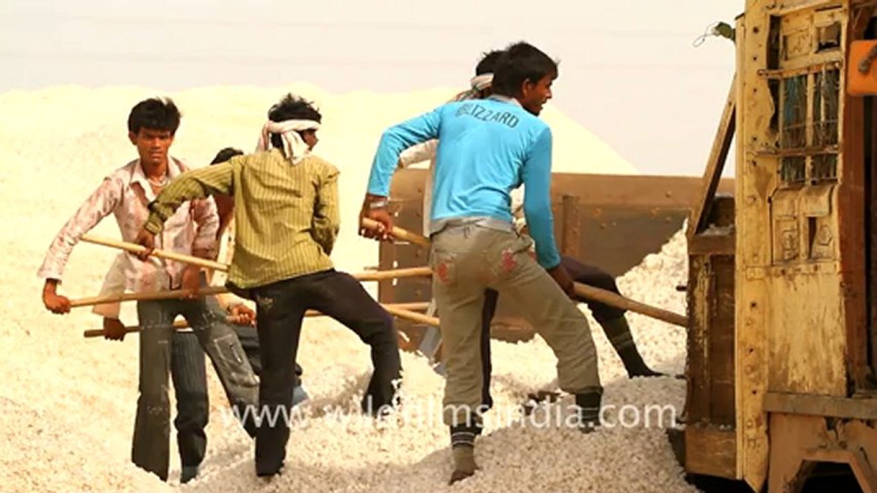 Gujarat-Salt making-7.mov