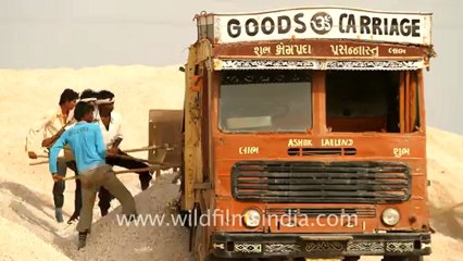 Gujarat-Salt making-9.mov