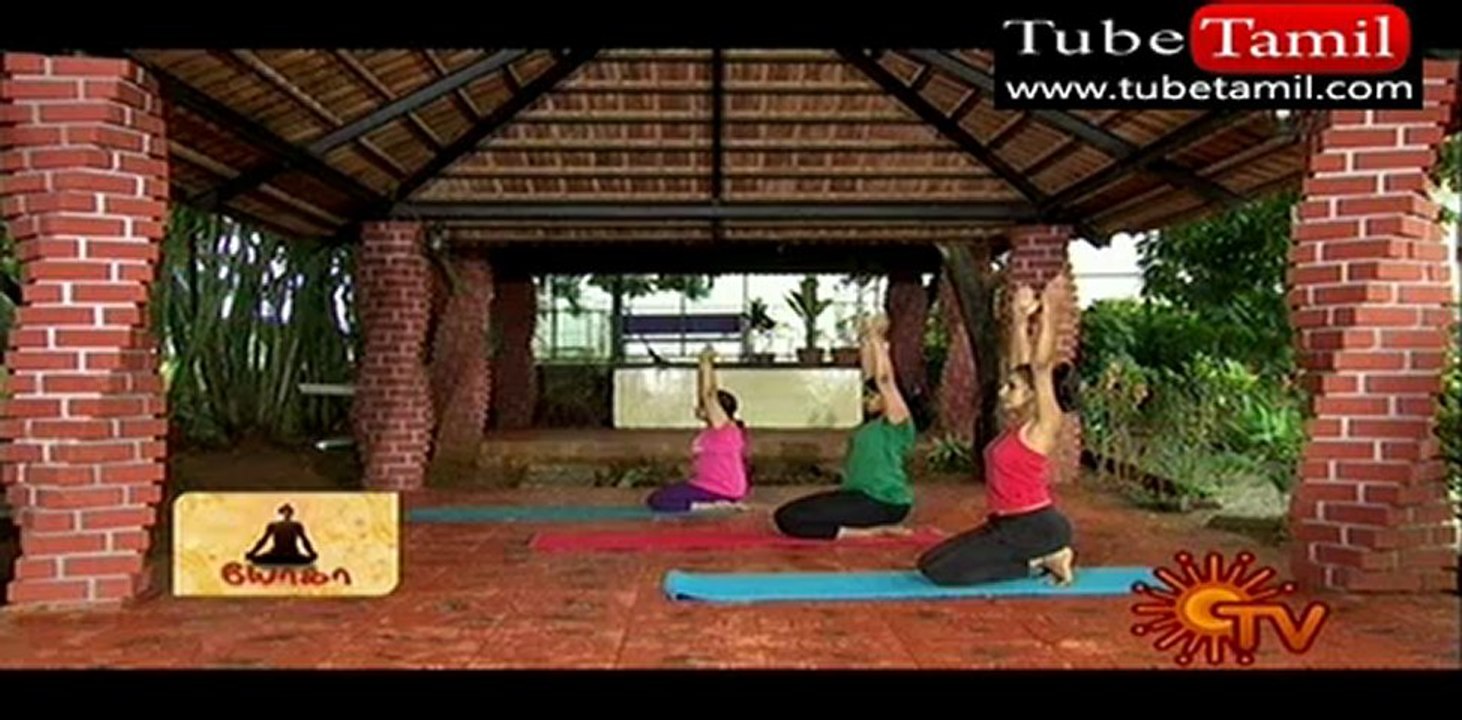 yoga_(new)