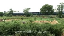 Indian countryside train-3.mov