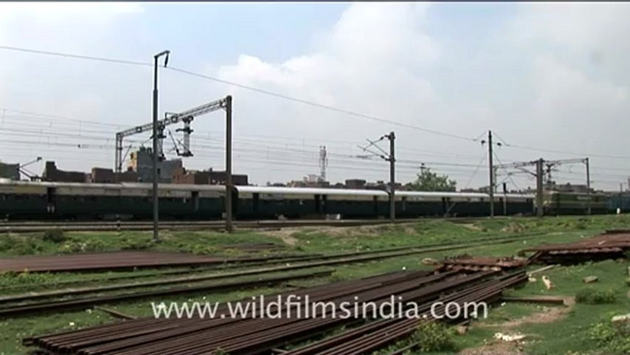 Indian train-13.mov