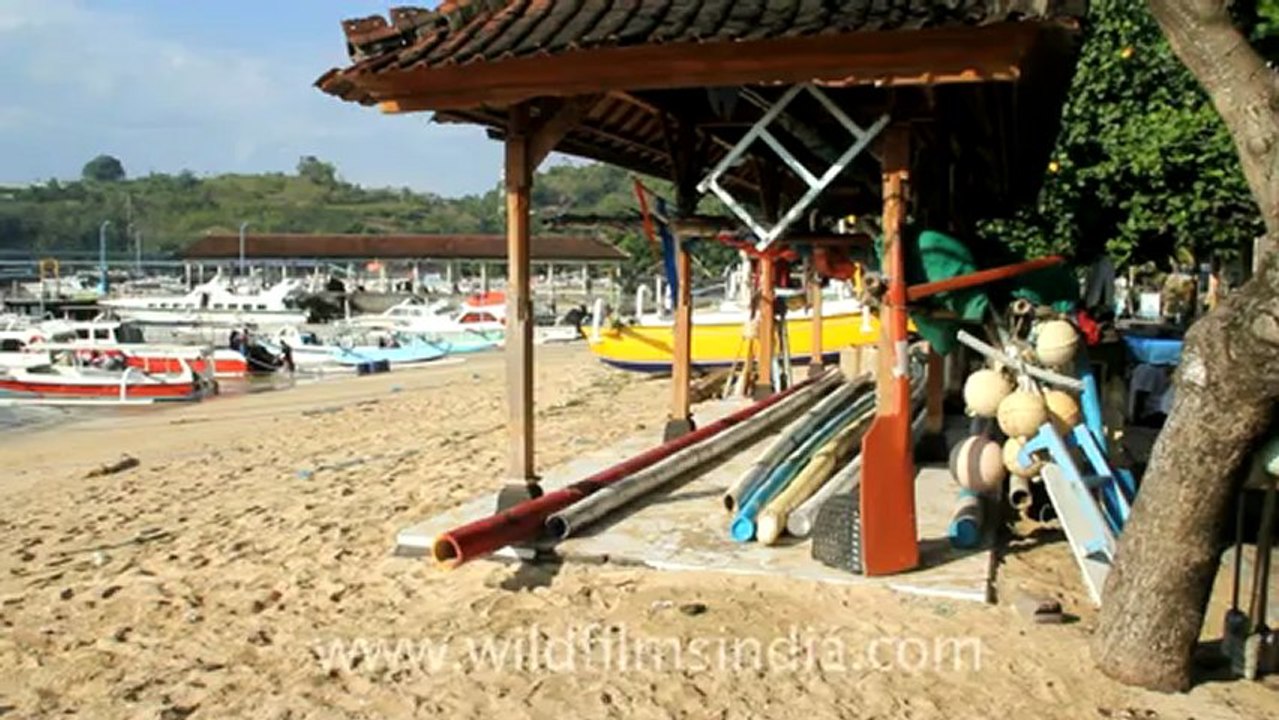 Indonesia-Bali-BalaganSeminyak Street-1.mov