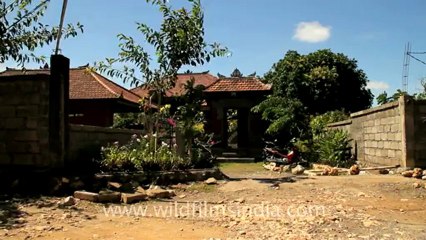 Indonesia-Bali-Biguin Beach-1.mov