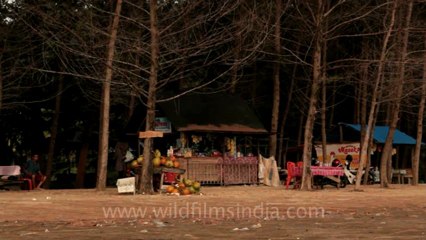 Indonesia-Sumatra-Landscapes-8.mov