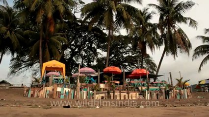 Indonesia-Sumatra-Landscapes-9.mov