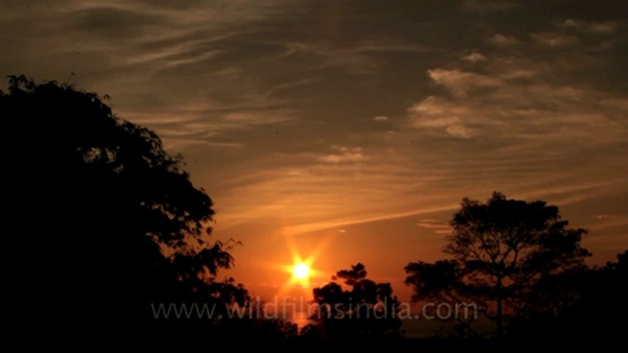 Indonesia-Sumatra-Video time lapses-3.mov