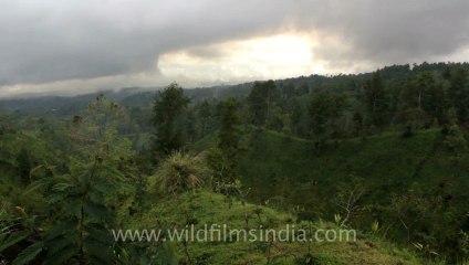 Indonesia-bali-besakih-2.mov