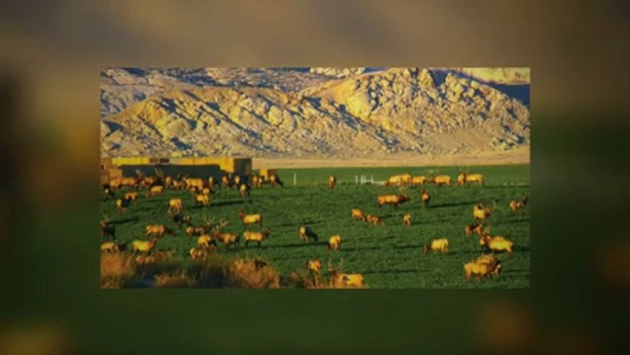 ranches for sale in colorado
