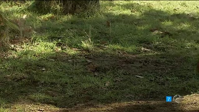 MARTIN MARIA NO DEJES INFLUENCIARTE POR NADIE ESDPV 26-12-2012