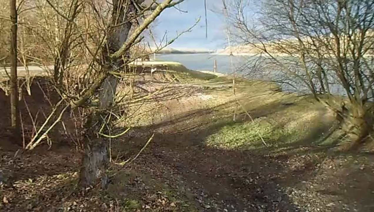 Un fou au bord du Rhin avec un buggy 250 [ Vandy. ]
