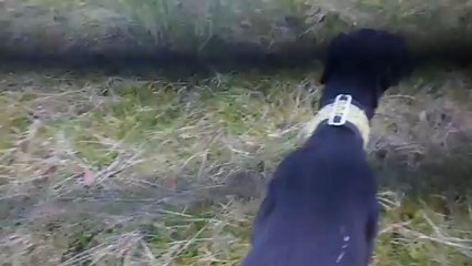 Ozono, Sola et Moréna