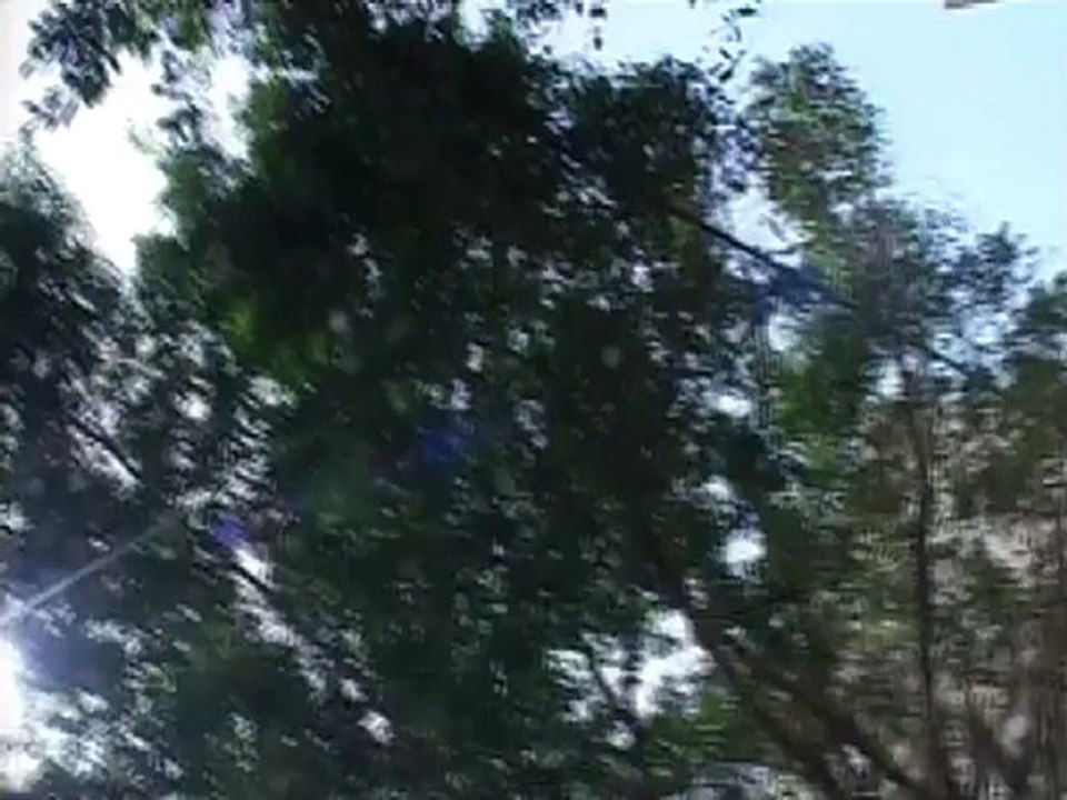 טלנובלה בע''מ פרק 51 (הפרק המלא)