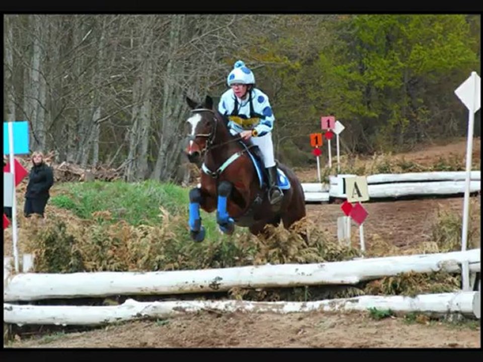 Poney ♥