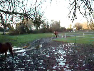 laïta athéna et mystic