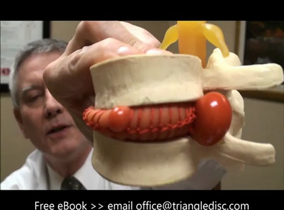 What is a Herniated Disc Video | Raleigh | Back Pain | Neck Pain