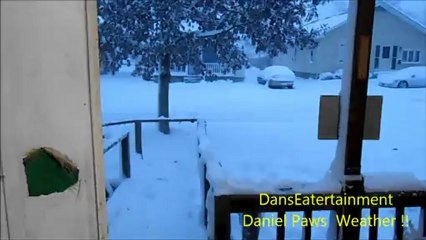 Christmas Blizzard 2012   12/26/2012