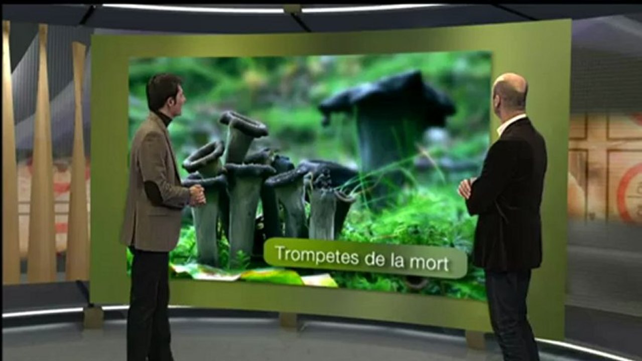 Espai Terra - dijous 13 de desembre