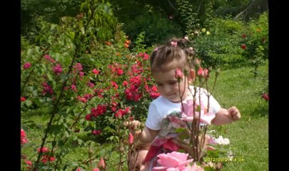 GELENEKSEL  ŞEVVAL MELEK DOĞUM GÜNÜ KUTLAMALARI :))