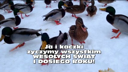 Moje święta