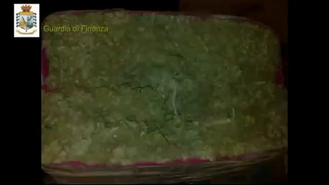 Lecce - Sequestrati oltre 400 kg di marijuana, un arresto (26.12.12)