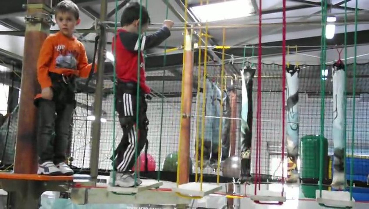 Acro Dino