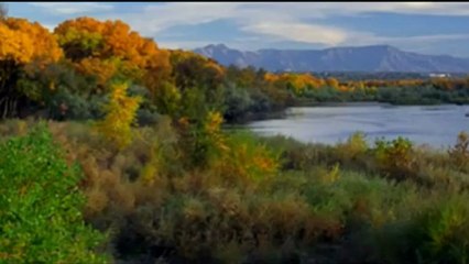 LA PRISON DES ORPHELINS (Michel MALLORY)