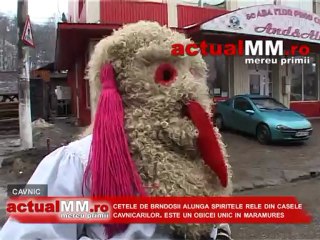 Cetele de brndosii alunga spiritele rele din casele cavnicarilor. Este un obicei unic in Maramures