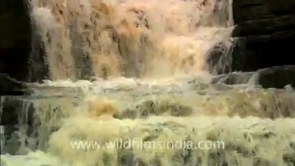 Panna-waterfall-hdc-12-1.mov