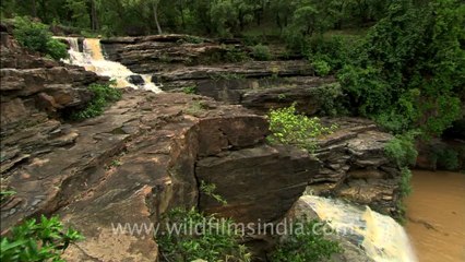 Panna-waterfall-hdc-12-5.mov
