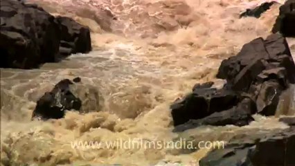 Panna-waterfall-hdc-8-2.mov