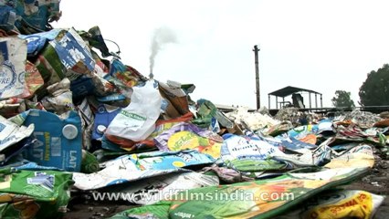 Paper mill-hdv-1-2.mov