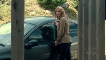 Haven Sweet Talk Radio Dotted Lines