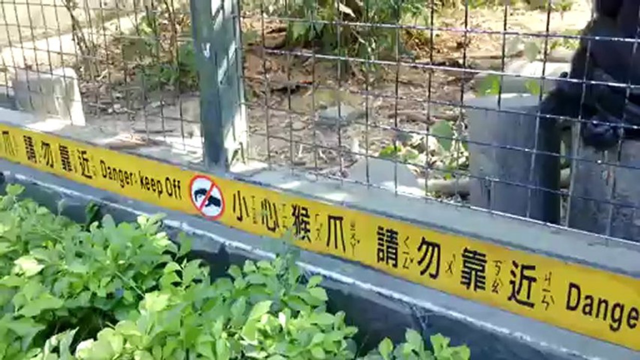 Cute Boys at the Zoo - Taiwan