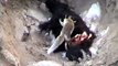 Snow leopard- fox eating yak.mov